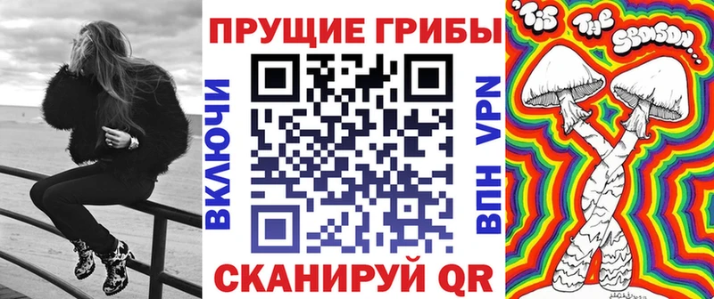 цены наркотик  Дальнегорск  Галлюциногенные грибы Cubensis 