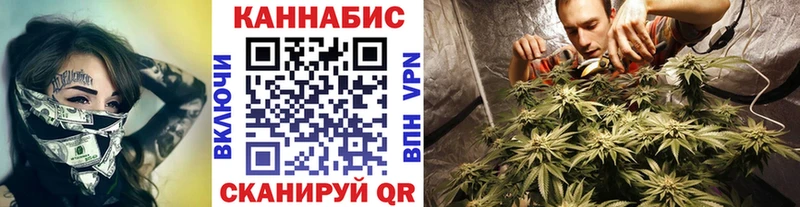что такое наркотик  Дальнегорск  Бошки Шишки сатива 